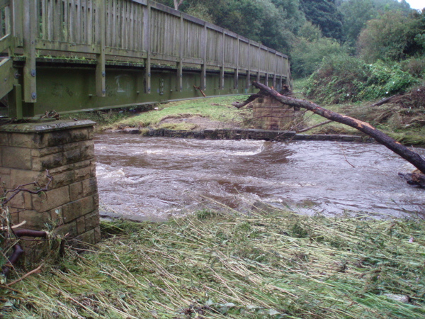 bridge%201.jpg