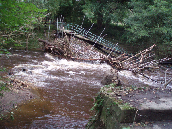bridge%203.jpg